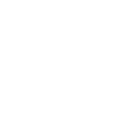 PAVELSiS